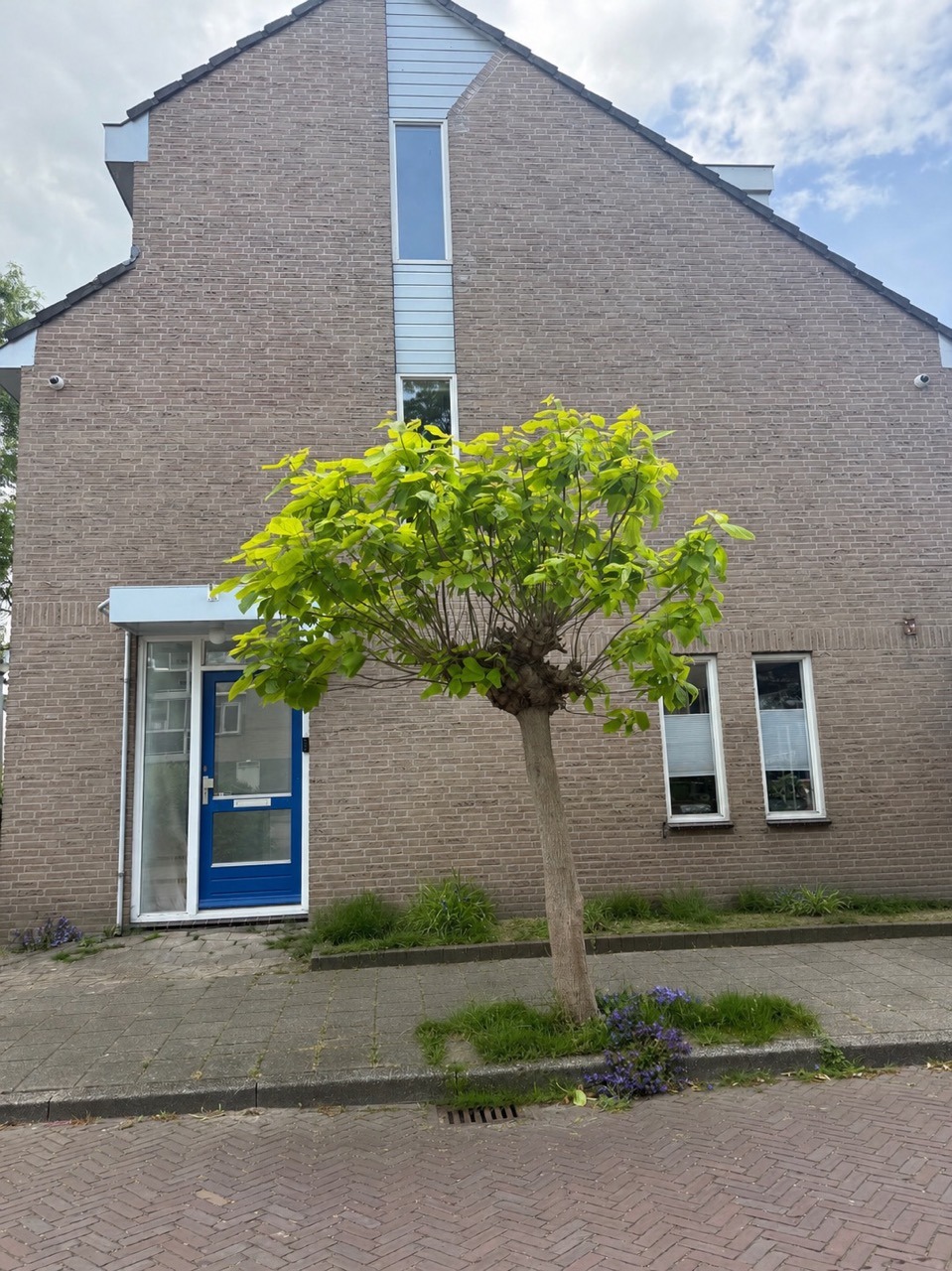 Voor situatie kunststof kozijnen Buitenhoflaan Leiderdorp foto 2